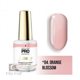 VERNIS MOLLON PRO LUXURY