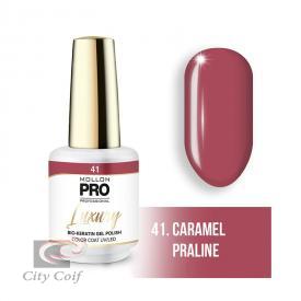 VERNIS MOLLON PRO LUXURY