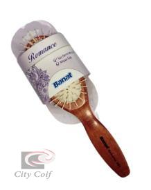 BROSSE BANAT 587